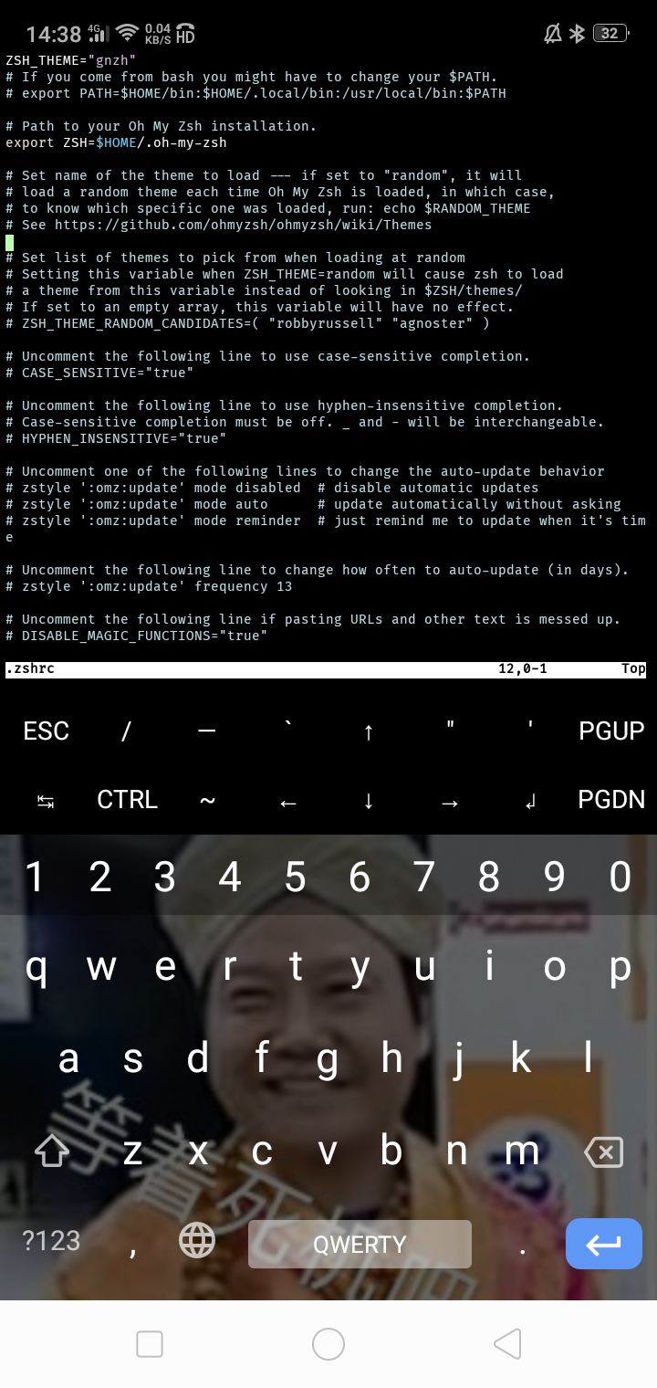 oh-my-zsh config