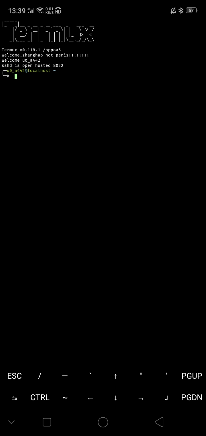 ../_images/termux-look.jpg